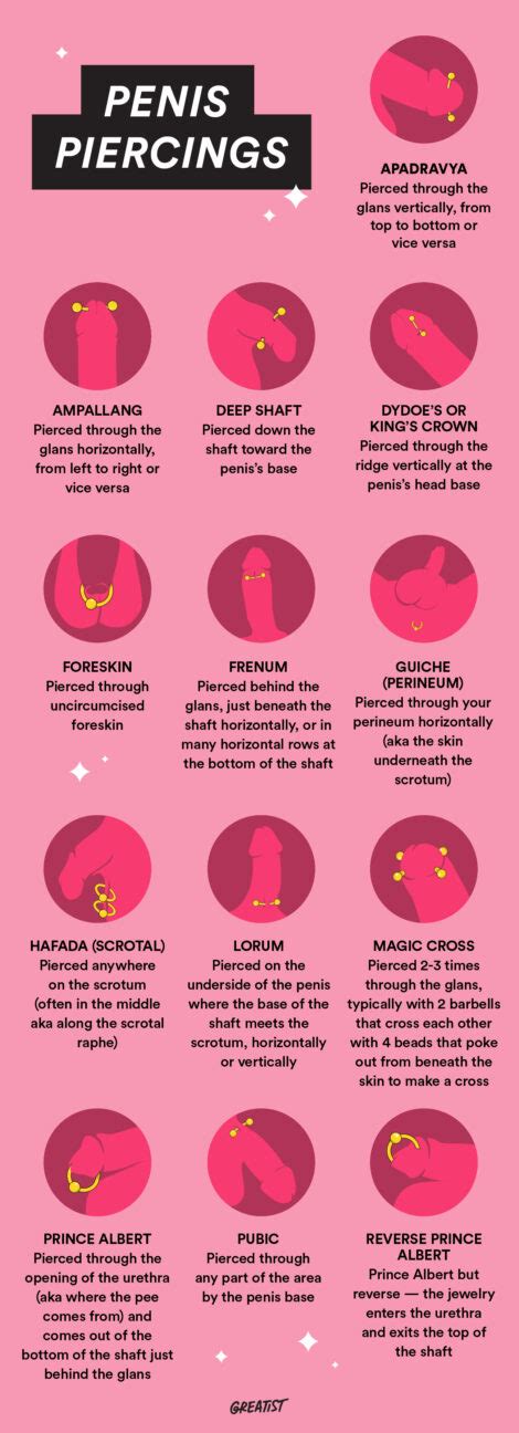 Penis Piercing: 13 Types, Sexual Benefits, Pain, Aftercare ...